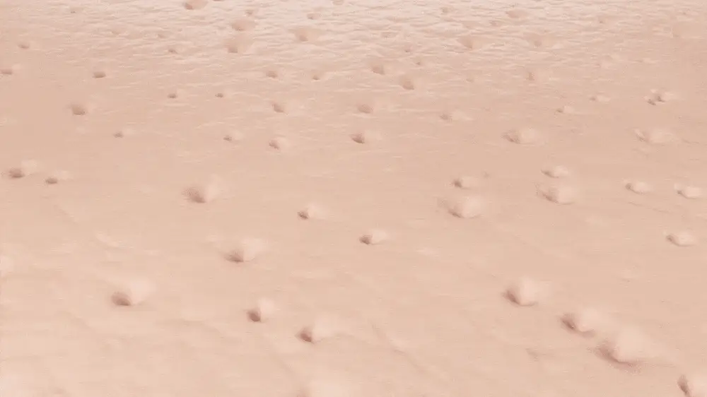 [화잘먹크림/모공결정돈] 성분에디터 그린토마토 NMN 포어 리프팅 크림 50ml 상세페이지 23